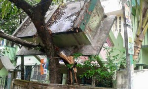 11175058_978128418872957_2012572069294663505_n