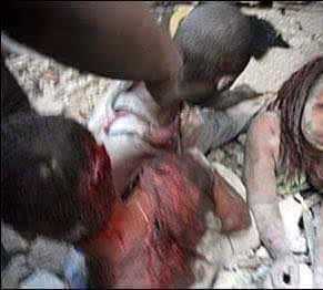 11193263_746470778802257_1926351192515961311_n